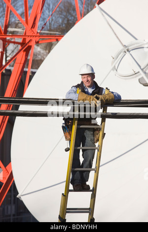 Cavo lineman in piedi su una scala per riparare la linea di trasmissione Foto Stock