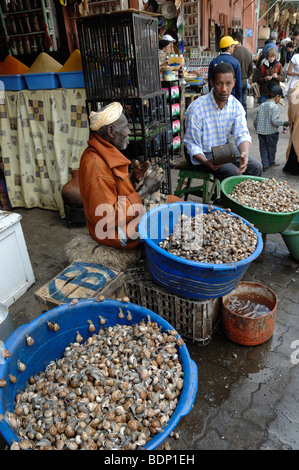 Venditori di lumaca con ciotole piene di lumache vive a Street Market Stall, Marrakech, Marocco Foto Stock