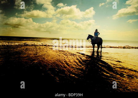 Una giovane donna in sella ad un cavallo stagliano contro un arancione tramonto riflesso in mare Foto Stock