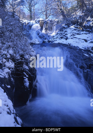 Swallow scende in inverno fiume Llugwy vicino a Betws-y-Coed Snowdonia National Park Conwy North Wales UK Foto Stock