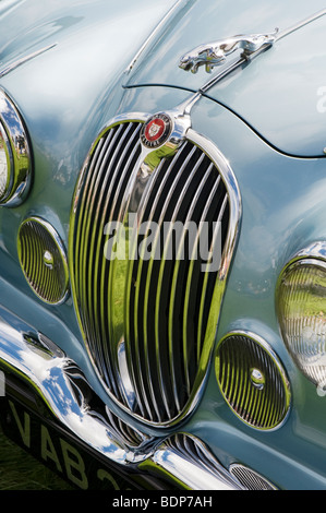 Jaguar 2,4 litro Mk I 3 volumi. Saltando jaguar mascotte e logo, Classic automobili inglesi Foto Stock