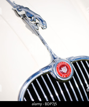 Jaguar XK150 auto sportiva roadster. Saltando jaguar mascotte e logo, Classic automobili inglesi Foto Stock