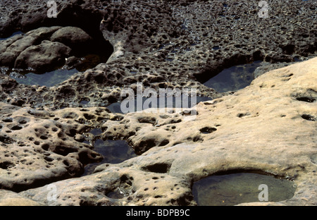 Yehliu Geopark Wanli District Taiwan Taiwan Rock Pools in Hllowed Out Rocks Foto Stock