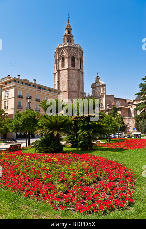 Un letto floreale in Plaza de la Reina, Valencia Foto Stock