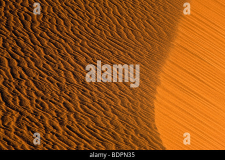 Soffiata dal vento modelli di sabbia, Mesquite Flat dune di sabbia, il Parco Nazionale della Valle della Morte, California, Stati Uniti d'America. Foto Stock