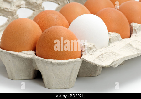 Uova fresche nella casella isolati su sfondo bianco Foto Stock