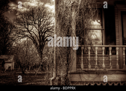 Un portico ricoperta con vitigni Foto Stock