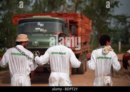 Azione di Greenpeace a Maginco segheria, Rio Maria, Para Stato, Brasile. Foto Stock