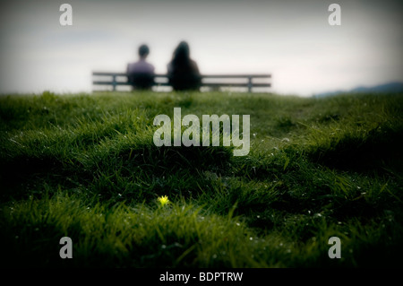 Due persone sedute su una panchina del paese con l'erba in primo piano Foto Stock