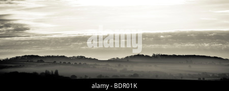 Una vista in lontananza gli alberi su una valle con nebbia nelle prime ore del mattino Foto Stock