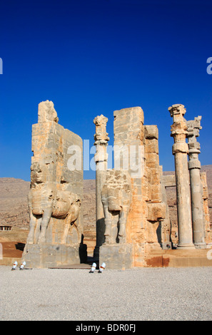 Il Xerxes Gate, aka Gate di tutte le nazioni a Persepolis sito archeologico, Iran Foto Stock