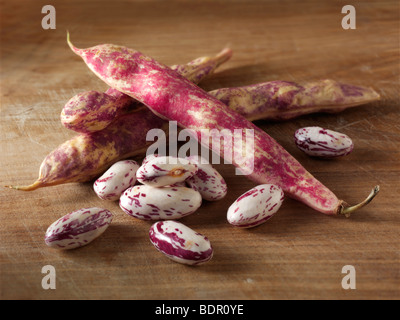 Freschi fagioli barlotti nei loro baccelli Foto Stock