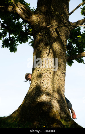 Una donna dietro una quercia in Svezia. Foto Stock