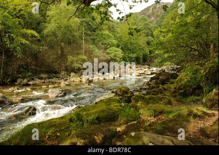 Il fiume Glaslyn vicino Beddgelert, Parco Nazionale di Snowdonia, Wales UK Foto Stock