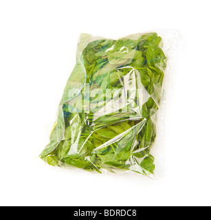 Baby spinaci foglie unico cuoco insalata verde di cottura alimenti greenfood pack imballate in plastica pellicola folie spinat veggi ortaggi freschi Foto Stock