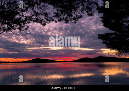 Un abendstimmung einem vedere bei arjeplog, lappland, SCHWEDEN, atmosfera serale al vicino lago di arjeplog, Lapponia, Svezia Foto Stock