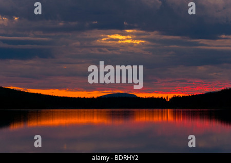 Un abendstimmung einem vedere bei arjeplog, lappland, SCHWEDEN, atmosfera serale al vicino lago di arjeplog, Lapponia, Svezia Foto Stock