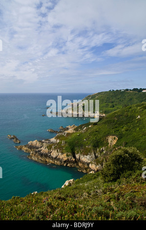 Dh Moulin Huet Bay St Martin Guernsey costa meridionale costa vista mare Foto Stock