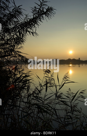 Lago Duemmer vedere, binnengewaesser. Sonnenuntergang, naturschutzgebiet, Niedersachsen, Deutschland, tramonto, Germania Foto Stock