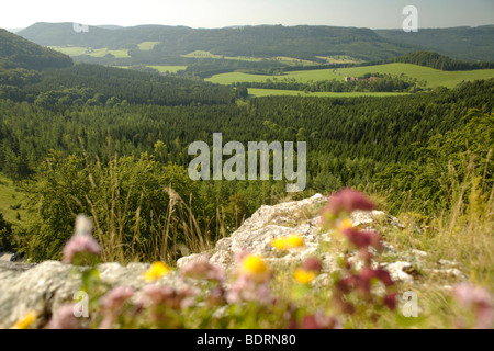 Vista da Lochenstein nella Valle del Danubio,schwaebische Alb, Donaubergland, Baden-Wuerttemberg, Germania, Europa Foto Stock