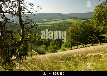 Vista da Lochenstein nella Valle del Danubio,schwaebische Alb, Donaubergland, Baden-Wuerttemberg, Germania, Europa Foto Stock