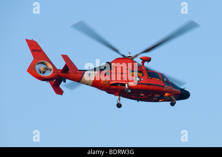 Un United States Coast Guard HH-65 Dolphin, MEDEVAC-capace, di ricerca e di salvataggio (SAR) elicottero. Foto Stock
