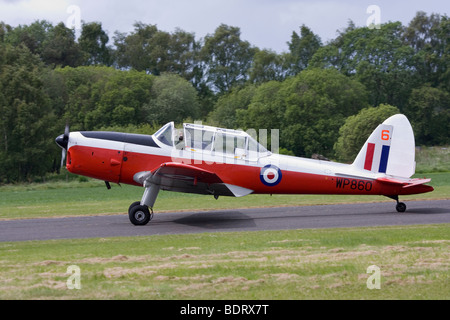 Caledonian Chipmunks aerobatic team display battenti de Havilland Scoiattolo striado T10 Foto Stock