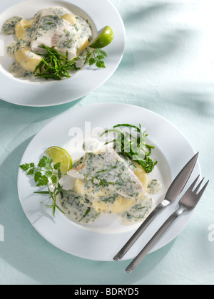 Due piastre di pike filetto di pesce persico in salsa di erbe con aneto, limone e pesce posate Foto Stock