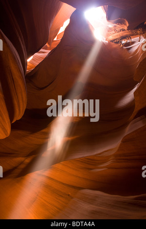 Fascio di luce nello slot canyon, Superiore Antelope Canyon, Pagina, Arizona, Stati Uniti. Foto Stock