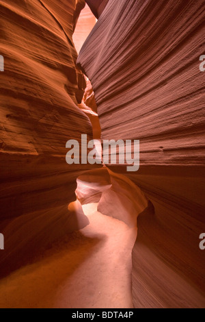 Slot canyon scolpiti da inondazioni, Superiore Antelope Canyon, Pagina, Arizona, Stati Uniti. Foto Stock