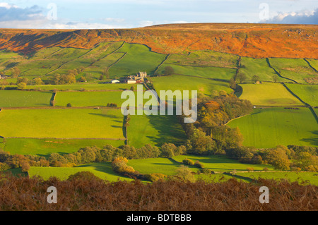 Danby Dale Farm, North Yorkshire Moors National Park, Inghilterra. Foto Stock