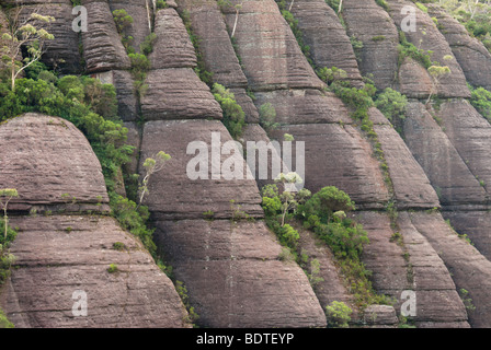 Formazioni rocciose nella valle del monolito, Budawang varia, NSW, Australia Foto Stock