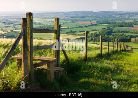 Il sentiero e stile che conduce oltre il recinto attraverso i campi, Raddon Hill, metà Devon, Inghilterra. In estate (Luglio) 2009 Foto Stock