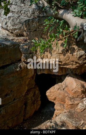 Il sito della grotta del Rabbino Shimon bar Yochai nel drusi villaggio di Pekiin, Galilea Israele Foto Stock