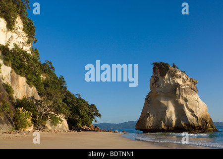 Cove della cattedrale, dal vento e dall'acqua abilmente scolpiti rock formazione presso la spiaggia di Cove della cattedrale, Penisola di Coromandel, Nuova Zelanda Foto Stock