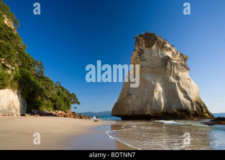 Cove della cattedrale, dal vento e dall'acqua abilmente scolpiti rock formazione presso la spiaggia di Cove della cattedrale, Penisola di Coromandel, Nuova Zelanda Foto Stock