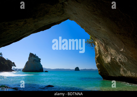 Cove della cattedrale, dal vento e dall'acqua abilmente scolpiti rock formazione presso la spiaggia di Cove della cattedrale, Penisola di Coromandel, Nuova Zelanda Foto Stock