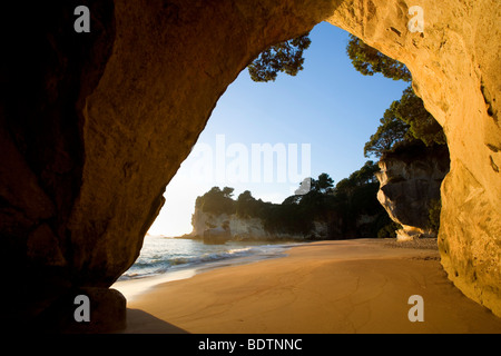 Cove della cattedrale, dal vento e dall'acqua abilmente scolpiti rock formazione presso la spiaggia di Cove della cattedrale, Penisola di Coromandel, Nuova Zelanda Foto Stock