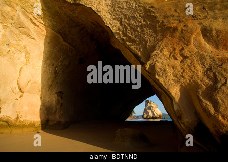 Cove della cattedrale, dal vento e dall'acqua abilmente scolpiti rock formazione presso la spiaggia di Cove della cattedrale, Penisola di Coromandel, Nuova Zelanda Foto Stock