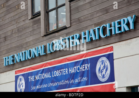 Il National Lobster Hatchery Foto Stock