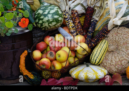 Frutti autunnali, decorazione per thanksging Foto Stock