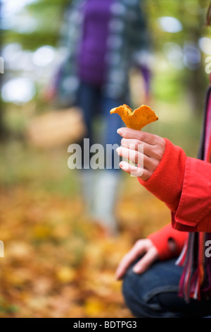 Due donne raccolta di funghi Foto Stock