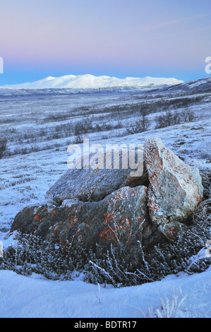 Paesaggio di inverno al lago tornetraesk vicino abisko, Lapponia, Svezia Foto Stock