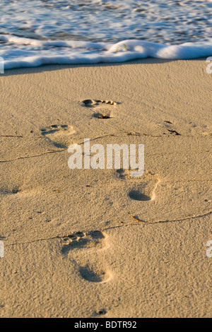 Fussspuren am Strand, impronte sulla spiaggia, Madagascar, Africa Foto Stock