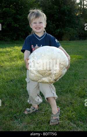 Ragazzo con il gigante Puffball / (Langermannia gigantea) | Junge mit Riesenbovist / (Langermannia gigantea) / Jung Speisepilz, Foto Stock