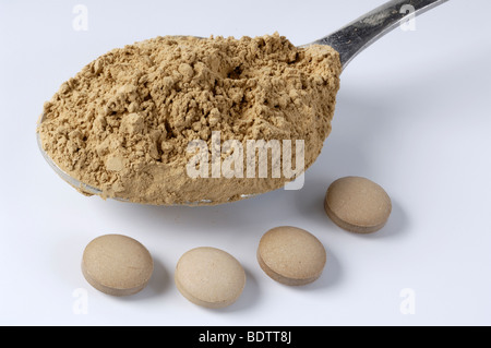 Hime-matsutake, polvere e pillole / (Agaricus blazei Murrill) Foto Stock