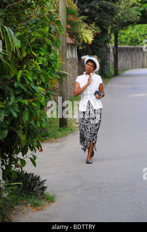 Creole Queen, Isola di Mahe, Seychelles, Africa, Oceano Indiano Foto Stock