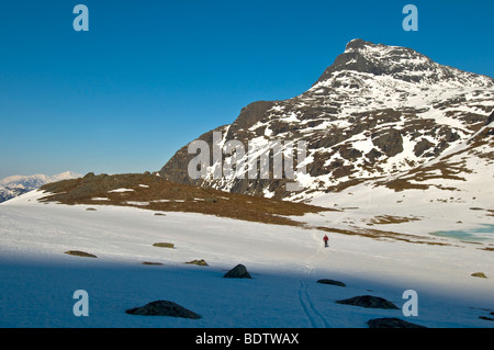 Skitourengeher, ofotfjorden, narvik, Nordland, norwegen, sci alpinismo, Norvegia Foto Stock