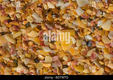 Gusci in partite di diversi colori e tonalità, cavo Bay, Doubtless Bay, Northland e North Island, Nuova Zelanda Foto Stock