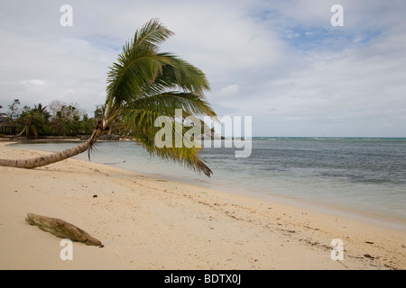 Strand von Nosy Nato, Madagascar, Afrika, spiaggia, Nosy Nato, Madagascar, Africa Foto Stock